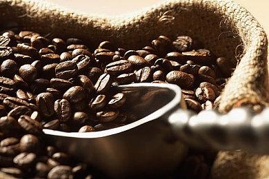 2024年东京电玩展主视觉图公布 9月26日开幕