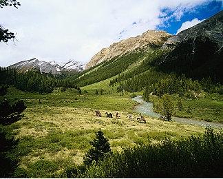 《生化危机》发布会将于10月21日早上6点开始