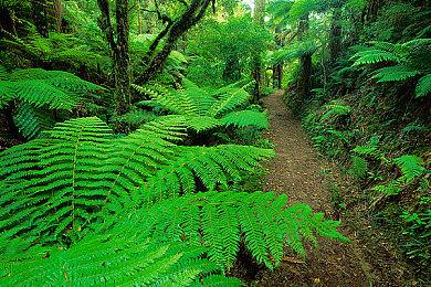 《流放之路2》抢先体验购买玩家超百万 总监警告会有排队